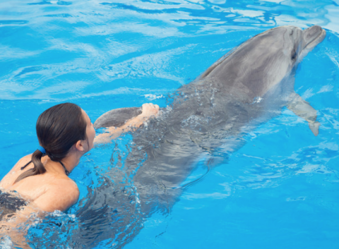 Nado con delfines en Cabo San Lucas