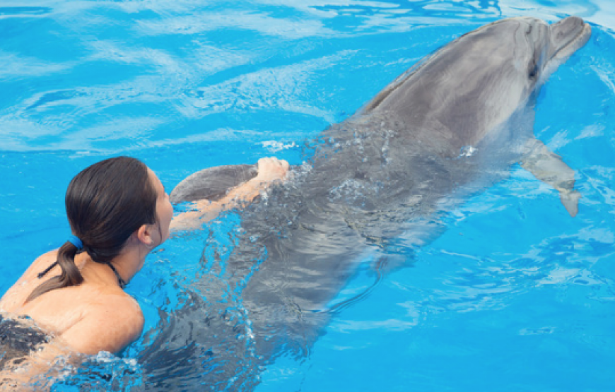 Nado con delfines en Cabo San Lucas