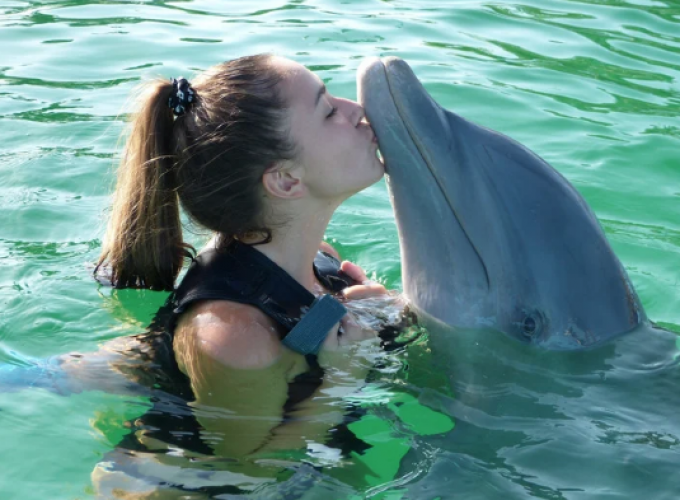 Nado con delfines en el Acuario Interactivo