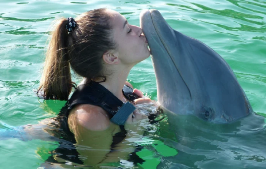 Nado con delfines en el Acuario Interactivo