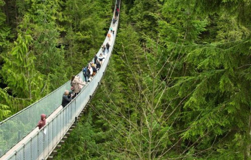 Recorrido turístico por Vancouver y puente colgante de Capilano Recorrido en grupo reducido