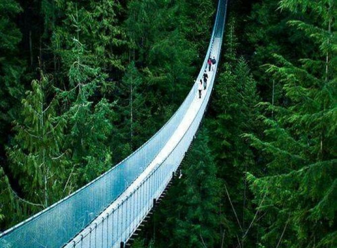 Recorrido turístico por Vancouver y puente colgante de Capilano