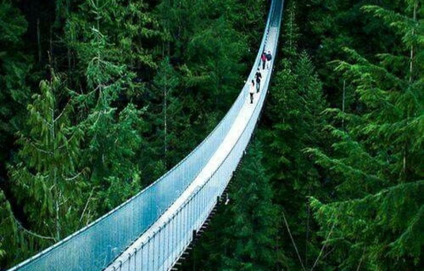 Recorrido turístico por Vancouver y puente colgante de Capilano