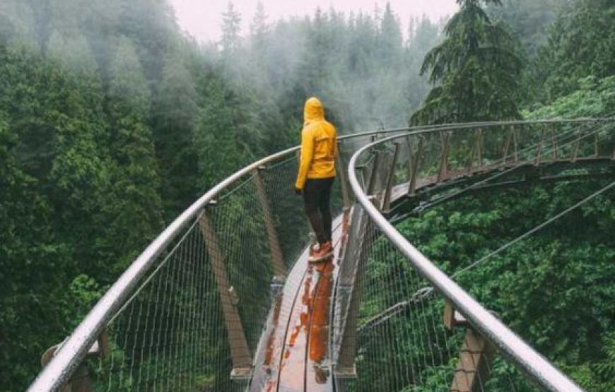 Recorrido turístico por Vancouver y puente colgante de Capilano