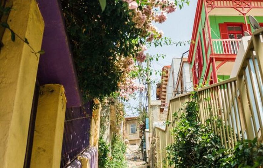 Tour de día completo Valparaíso, Viña del Mar y viñedo Casablanca  desde Santiago