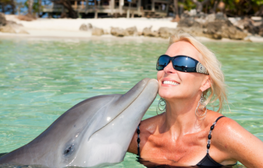 SNORKEL CON LOS DELFINES