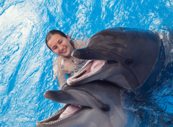 ENCUENTRO CON DELFINES