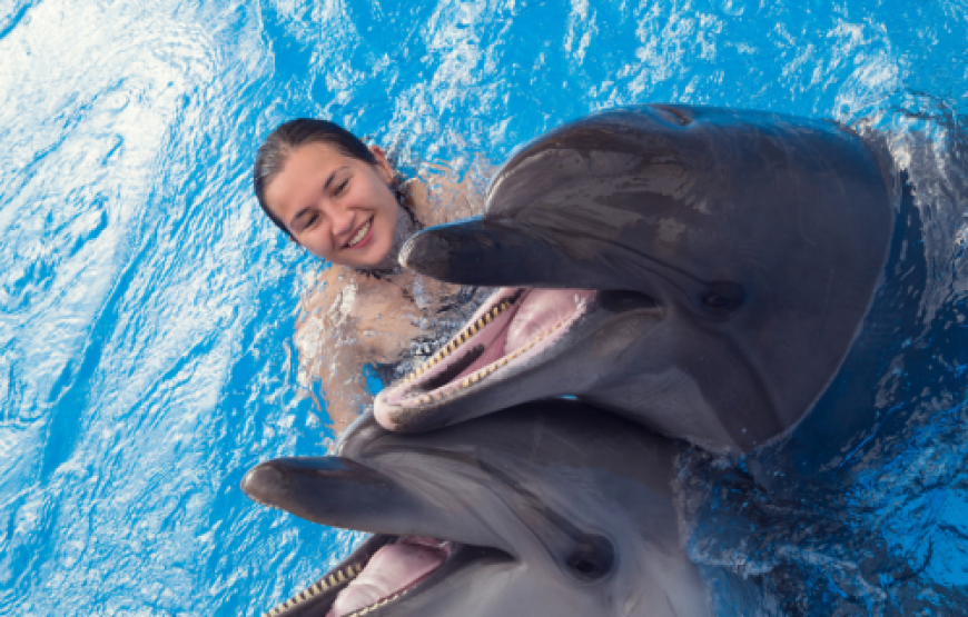 SNORKEL CON LOS DELFINES