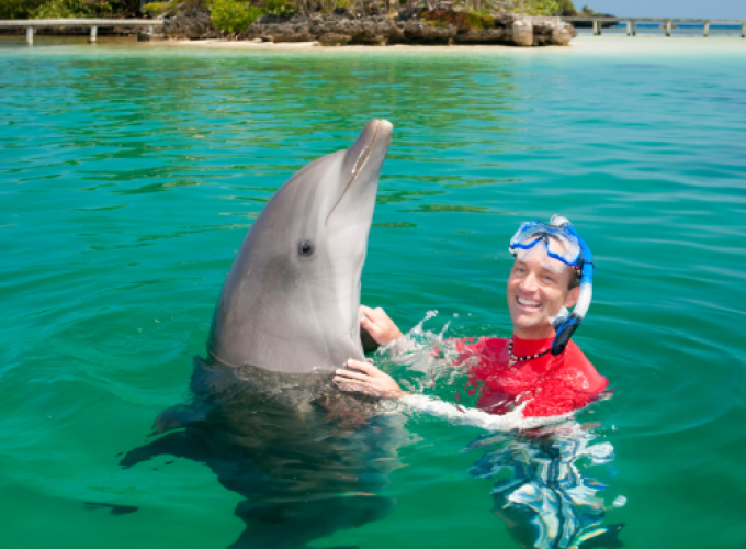 SNORKEL CON LOS DELFINES