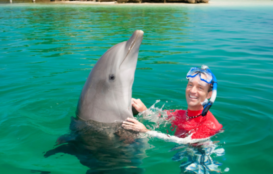 SNORKEL CON LOS DELFINES